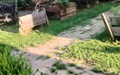 Photo of Elizabeth B.'s yard after getting landscaping in Lawson, MO