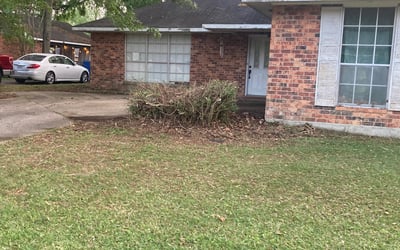 Photo of Debra B.'s yard after getting landscaping in Clinton, LA