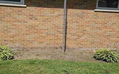 Photo of Shirley B.'s yard after getting landscaping in Skokie, IL