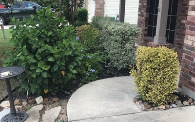 Photo of Jennifer M.'s yard after getting landscaping in Stockdale, TX
