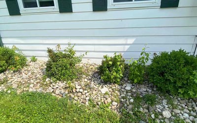 Photo of Jacob L.'s yard after getting landscaping in Hamersville, OH