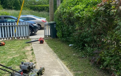 Photo of Maureen W.'s yard after getting landscaping in Brooklyn, MD