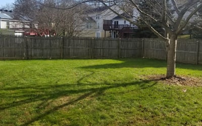 Photo of Cathy L.'s yard after getting tree care in Montgomery Village, MD