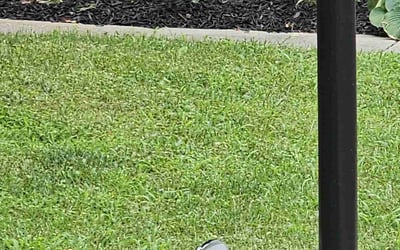 Photo of Stacey C.'s yard after getting landscaping in Bowie, MD