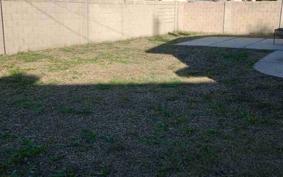 Photo of William M.'s yard after getting landscaping in Maricopa, AZ