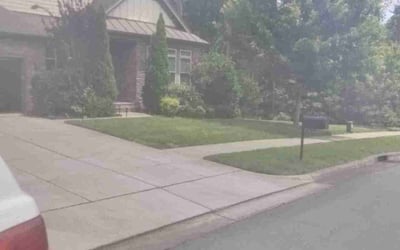 Photo of Cetera M.'s yard after getting tree care in Chapel Hill, NC