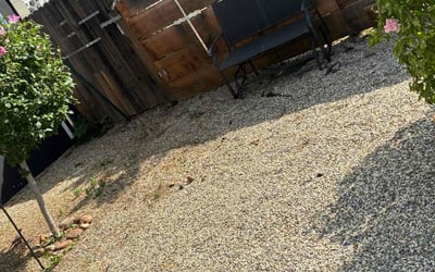Photo of Ashley P.'s yard after getting landscaping in Folsom, CA