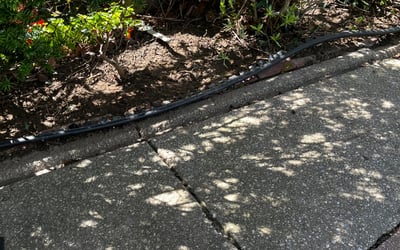 Photo of Gwendolyn M.'s yard after getting landscaping in White Marsh, MD