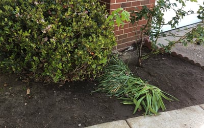 Photo of Matthew A.'s yard after getting landscaping in Gwynn, VA