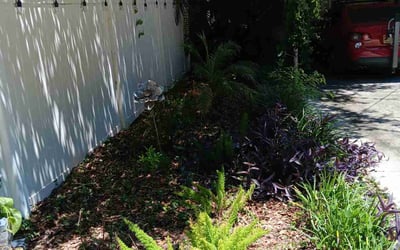 Photo of Anthony A.'s yard after getting tree care in Palm Harbor, FL