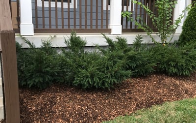 Photo of Steve S.'s yard after getting landscaping in Old Hickory, TN