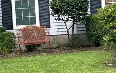 Photo of Allen J.'s yard after getting tree care in Summerville, SC