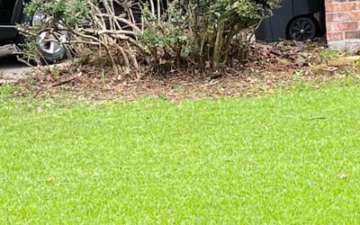 Photo of Debra B.'s yard after getting landscaping in Saint Amant, LA