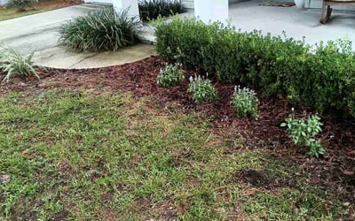 Photo of Enrique C.'s yard after getting tree care in Saint Johns, FL