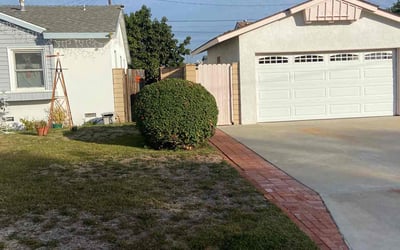 Photo of Tiffany T.'s yard after getting tree care in Rohnert Park, CA