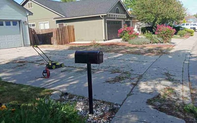 Photo of Brendan B.'s yard after getting landscaping in Reno, NV