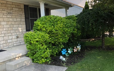 Photo of Andrea R.'s yard after getting landscaping in Amanda, OH