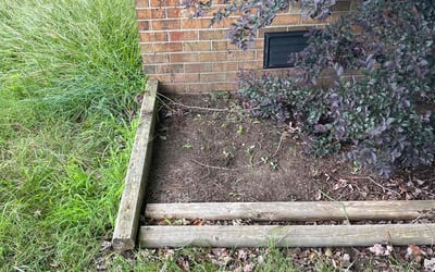 Photo of Roy R.'s yard after getting tree care in Williamsburg, VA
