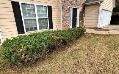Photo of Kevin S.'s yard after getting landscaping in Felton, GA