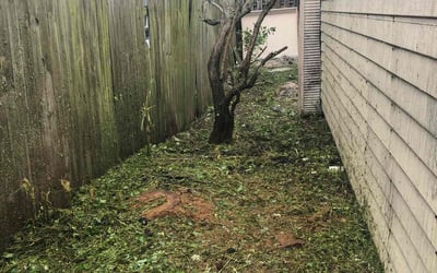Photo of Lisa S.'s yard after getting landscaping in Loxahatchee, FL