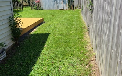 Photo of Maggie M.'s yard after getting landscaping in Ruthville, VA