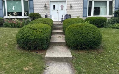 Photo of Catrina M.'s yard after getting landscaping in Downers Grove, IL