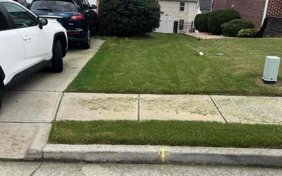 Photo of Camillus J.'s yard after getting tree care in Loganville, GA