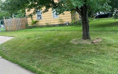 Photo of Vicki B.'s yard after getting landscaping in Hager City, WI