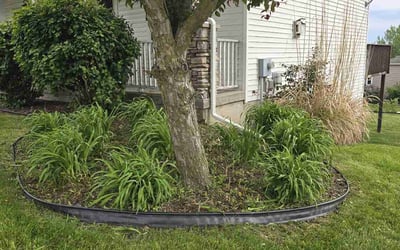 Photo of Kelly C.'s yard after getting landscaping in Byron Center, MI