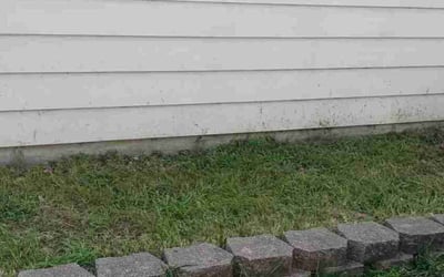 Photo of Shari F.'s yard after getting landscaping in White Lake, MI