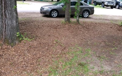 Photo of Kellie M.'s yard after getting tree care in Crawfordville, FL