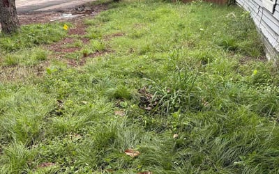 Photo of Dylan W.'s yard after getting landscaping in Cleburne, TX