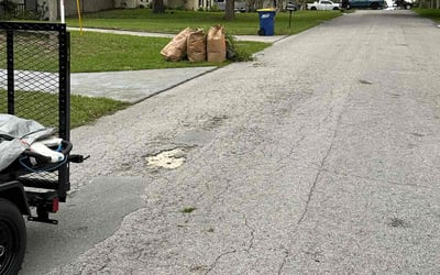 Photo of Pam P.'s yard after getting landscaping in Minneola, FL