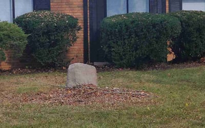 Photo of Deborah B.'s yard after getting landscaping in Greencastle, IN