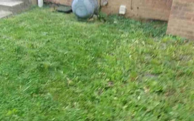 Photo of James B.'s yard after getting landscaping in Ashley, OH