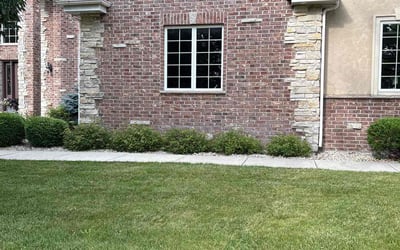 Photo of Alex S.'s yard after getting landscaping in Oregon, WI