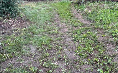 Photo of Aaron L.'s yard after getting landscaping in Stilwell, KS