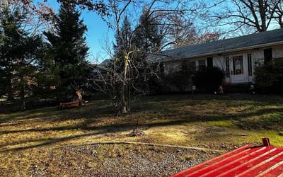 Photo of Julie R.'s yard after getting landscaping in Pomfret, MD