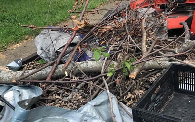 Photo of Chris W.'s yard after getting landscaping in Basehor, KS