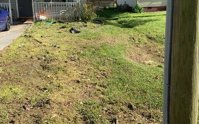 Photo of Brian M.'s yard after getting landscaping in Sunbury, NC