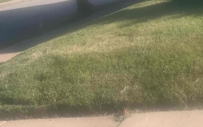 Photo of Lester W.'s yard after getting landscaping in East Saint Louis, IL