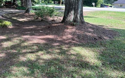 Photo of Cedric B.'s yard after getting landscaping in Douglasville, GA