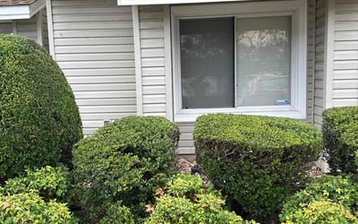 Photo of Louise A.'s yard after getting tree care in Virginia Beach, VA