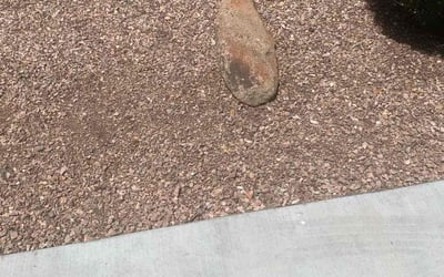 Photo of Larry L.'s yard after getting tree care in Laveen, AZ