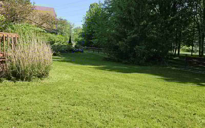Photo of Ann O.'s yard after getting lawn care in Olmsted Falls, OH
