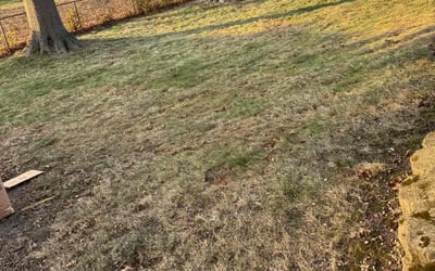Photo of Marc M.'s yard after getting landscaping in Harvard, IL