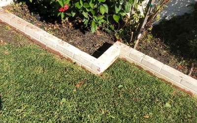 Photo of Ben S.'s yard after getting landscaping in Venice, CA