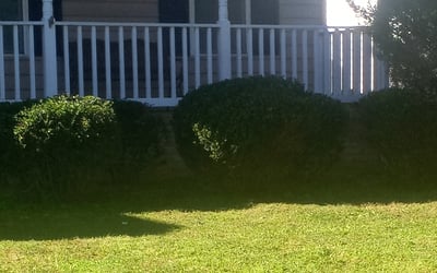 Photo of Crystal A.'s yard after getting landscaping in Jamestown, VA