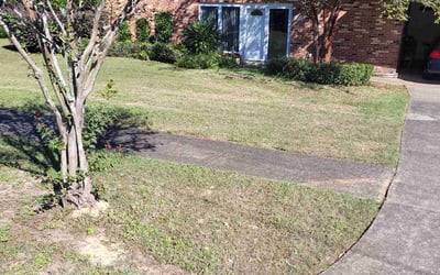 Photo of Sharon H.'s yard after getting landscaping in Destin, FL