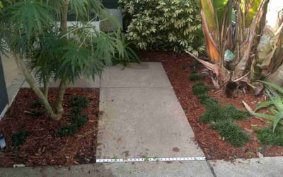 Photo of Steve H.'s yard after getting landscaping in Cassadaga, FL